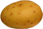 potato[1].jpg